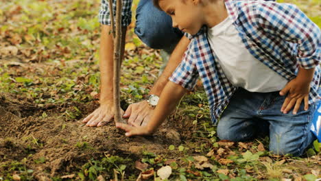 Closeup.-Portrait-of-a-little-boy-and-his-dad-planting-a-tree.-They-press-the-soil-with-their-hands.-Blurred-background